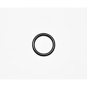 Spicer O RING 508738 