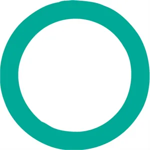 FJC Inc. O'RING 1234343 