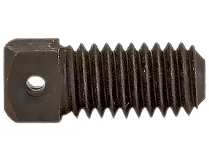 Buyers Products Set Screw 221876 