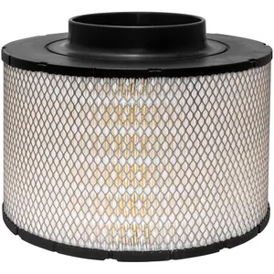 Baldwin AIR ELEMENT 2426002 