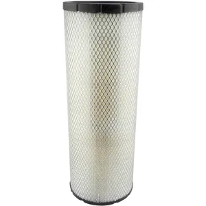 Baldwin Air Element 229660 