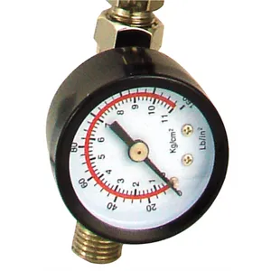 Mountain AIR REGULATOR F 1297178 