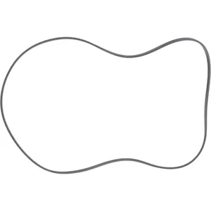 Spicer SEAL 506804 