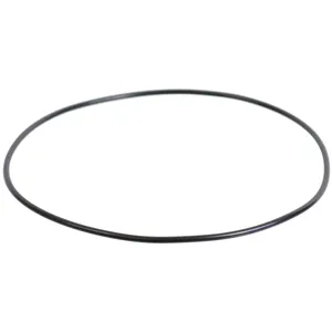 SKF O-Ring 484960 