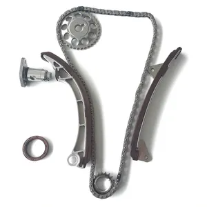 SKF Timing Chain Kit 1790253 