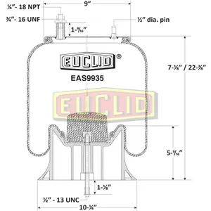 Euclid Air Spring 6351102 