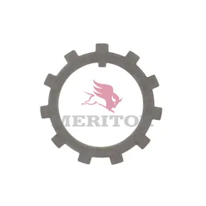 Meritor Lock Washer 317260 