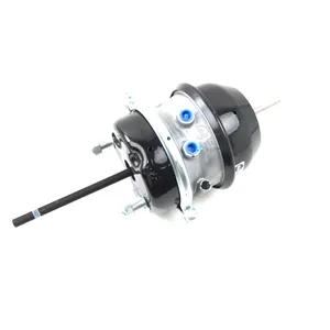MGM Spring Brake (Piggy Back) Assembly 245674 