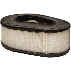 Baldwin Air Element 226058 