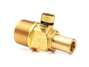 Fumoto Valve 376726 