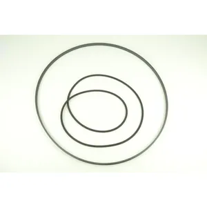 Spicer SEAL 499050 