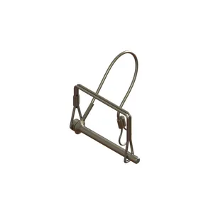 Holland PIN AND LANYARD 1166404 