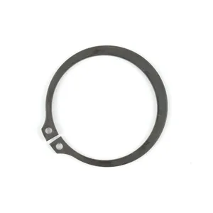 Spicer RING (10 PER) 516302 