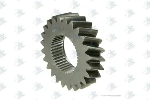 Euroricambi GEAR 24 T. 310560 