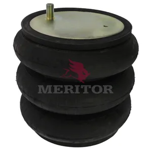 Firestone Air Spring 756372 