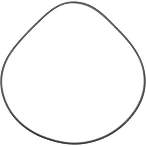 Spicer SEAL 509558 