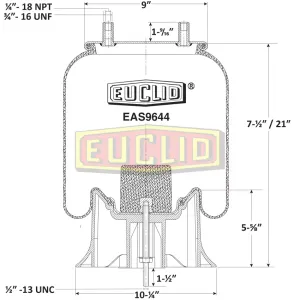 Euclid Air Spring 6350504 