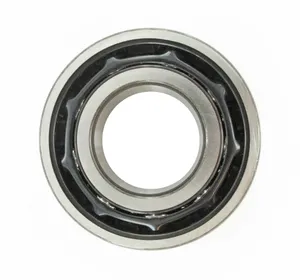 SKF Bearing 1794184 