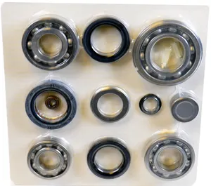 SKF Transfer Case Kit 1789481 