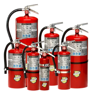 Buckeye EXTINGUISHER 2257502 