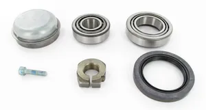 SKF Bearing 1794113 