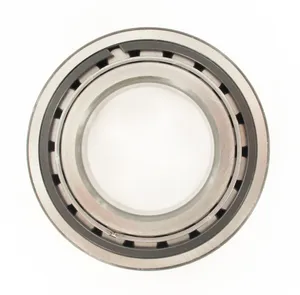 SKF Bearing 1788421 
