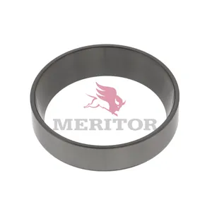 Meritor Std Whl Bg Cone 777592 