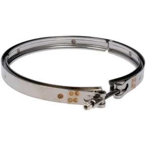 Dorman DPF Clamp 281554 