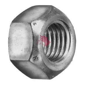 Meritor Lock Nut 2734096 