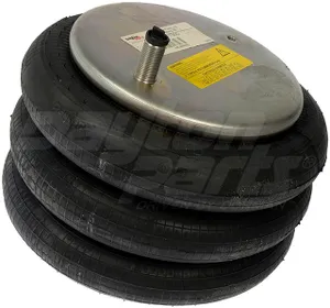 Dayton Air Spring 1869283 