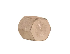 Buyers Products CAP 1 1/4in TUBE OD 1575080 