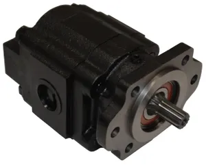 Heavy Motions HM P51 A 642 (4 Bolt B) BE YL25 25, 2-1/2' GEAR,... 1761002 