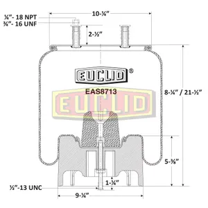 Euclid Air Spring 6351302 