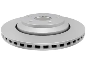 Raybestos Disc Brake Rotor - Rear 6263002 