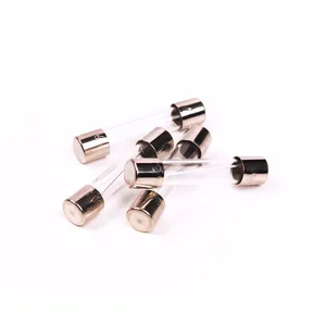 Grote FUSE 2971396 