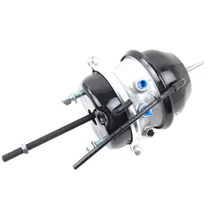 MGM Spring Brake (Piggy Back) Assembly 243636 