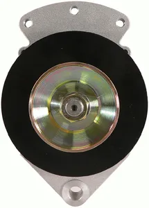 Wilson Alternator 2907550 