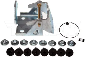 Dorman DOOR HING 548750 
