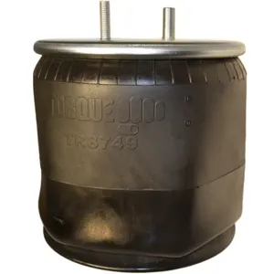 Torque Parts Air Spring 1537811 