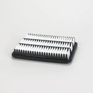 Donaldson AIR PANEL 919762 