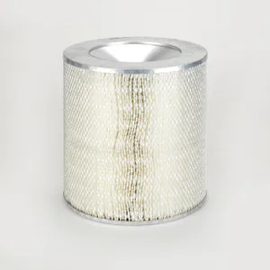Donaldson Air Filter 275570 