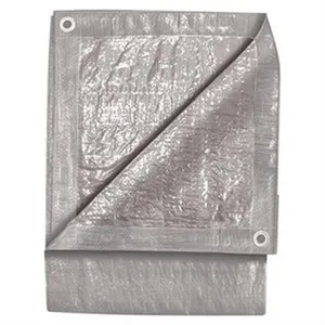ToolWeb 20' X 30' SILVE 1242090 