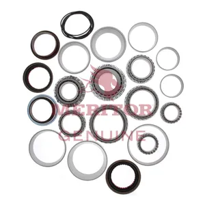 Meritor KIT BEARING/SEAL 229834 