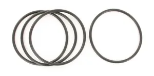 SKF O-Ring 489924 