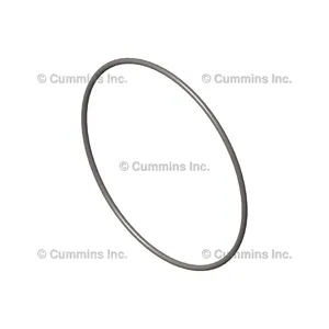 Cummins Seal 1206570 