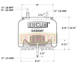 Euclid Air Spring 6350018 