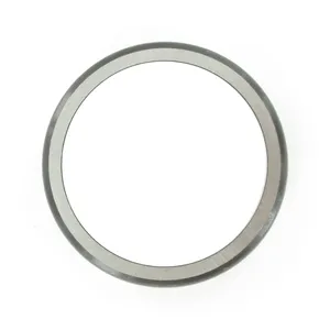 SKF Bearing Race 1071178 