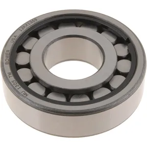 Bower Bearings Cylindrical Bearing 695602 