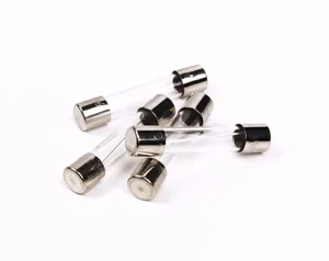 Grote FUSE 3061066 