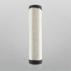 Donaldson AIR FILTER 275404 
